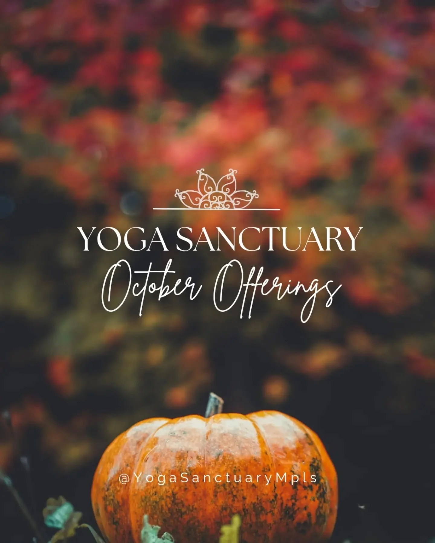 Here we are. At a seasonal threshold. Take a deep exhale. Let go and let be... 

Here are our upcoming October offerings:

🍎Thur 10/1 Monthly Women's Circle w/ Chelsea Schmitz Gillam @theyouthyogacollective (spaces still open the first occuring Thur