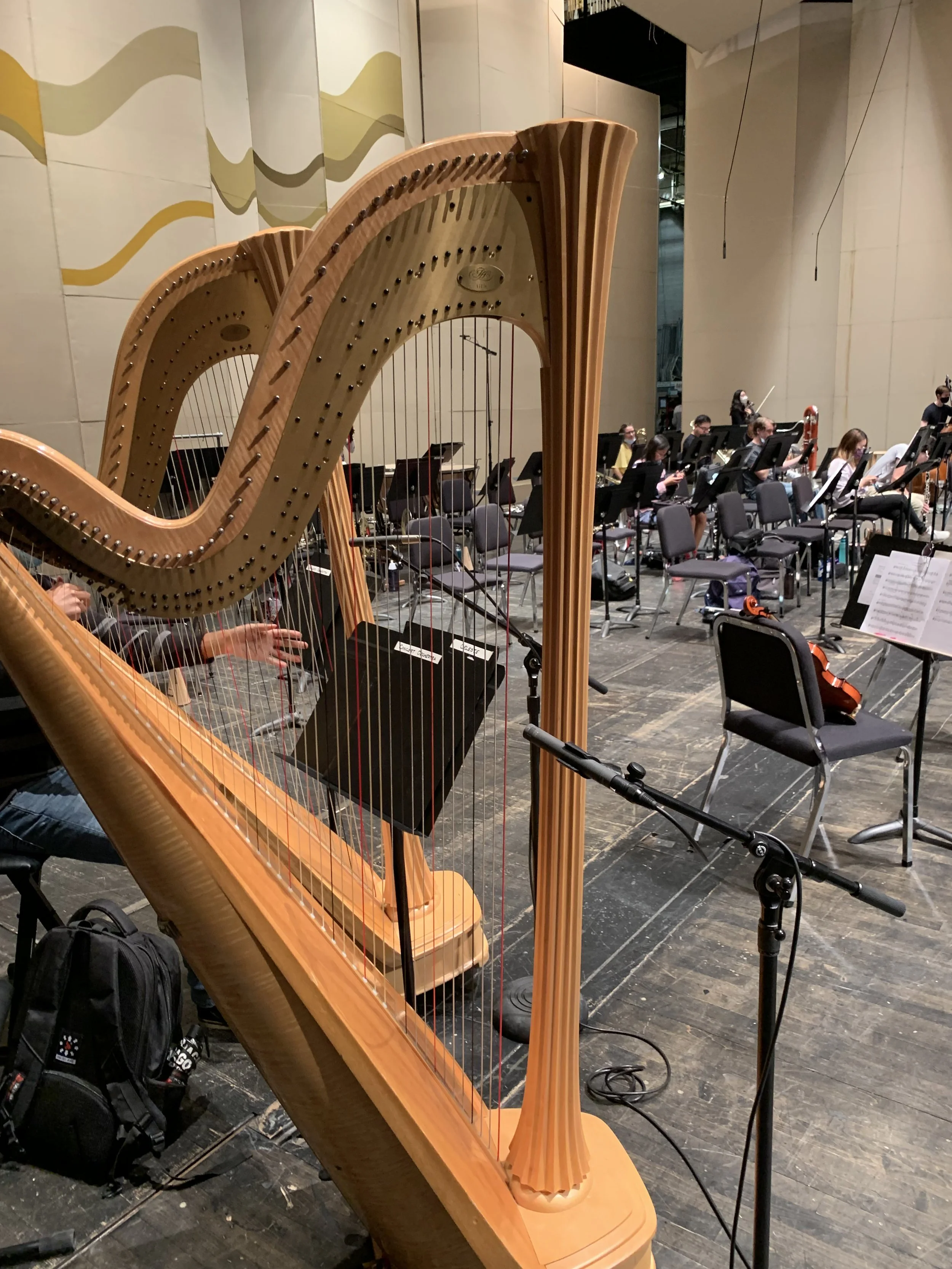 Harp setup for Concert Orchestra at Indiana University Musical Arts Center