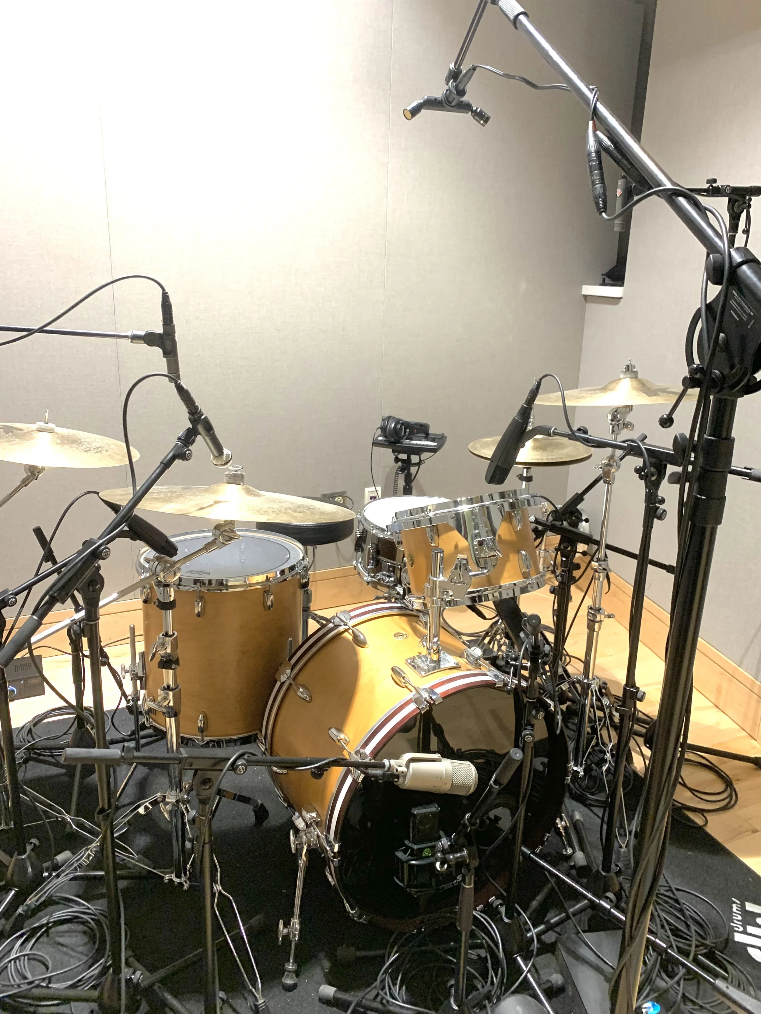 Drum Setup in Georgina Joshi Studio