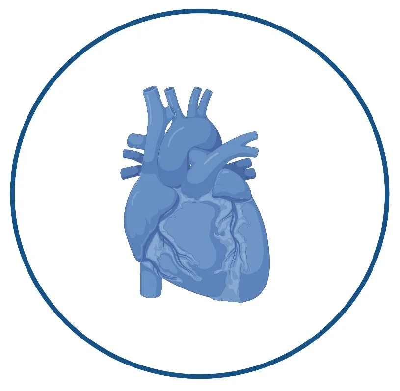 Cardiology icon.jpg