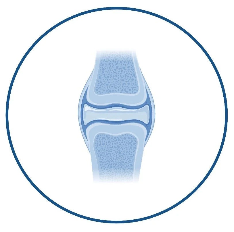 Rheumatology icon.jpg