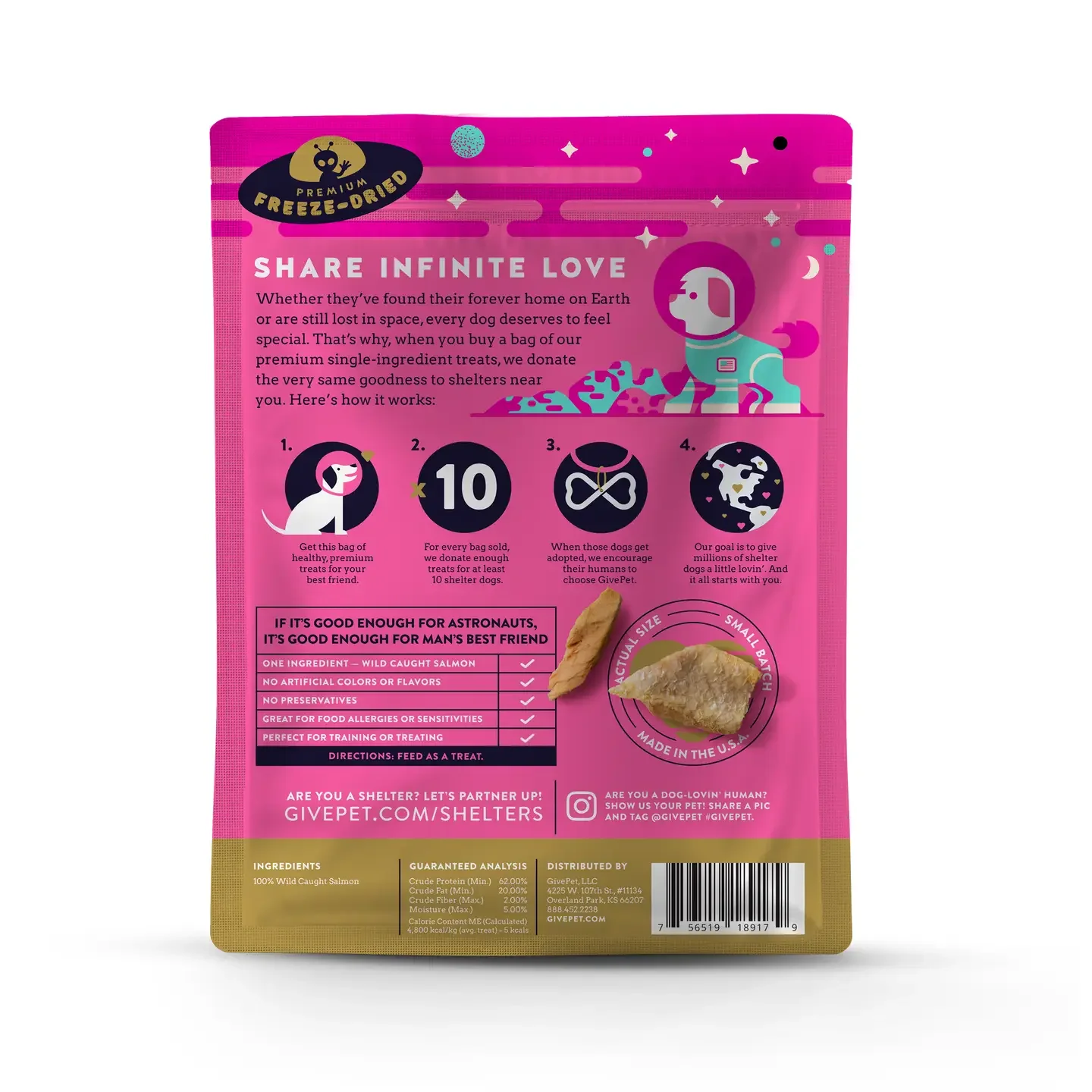 astromutt2.webp