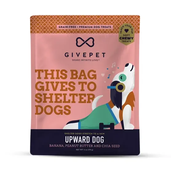 dog.webp