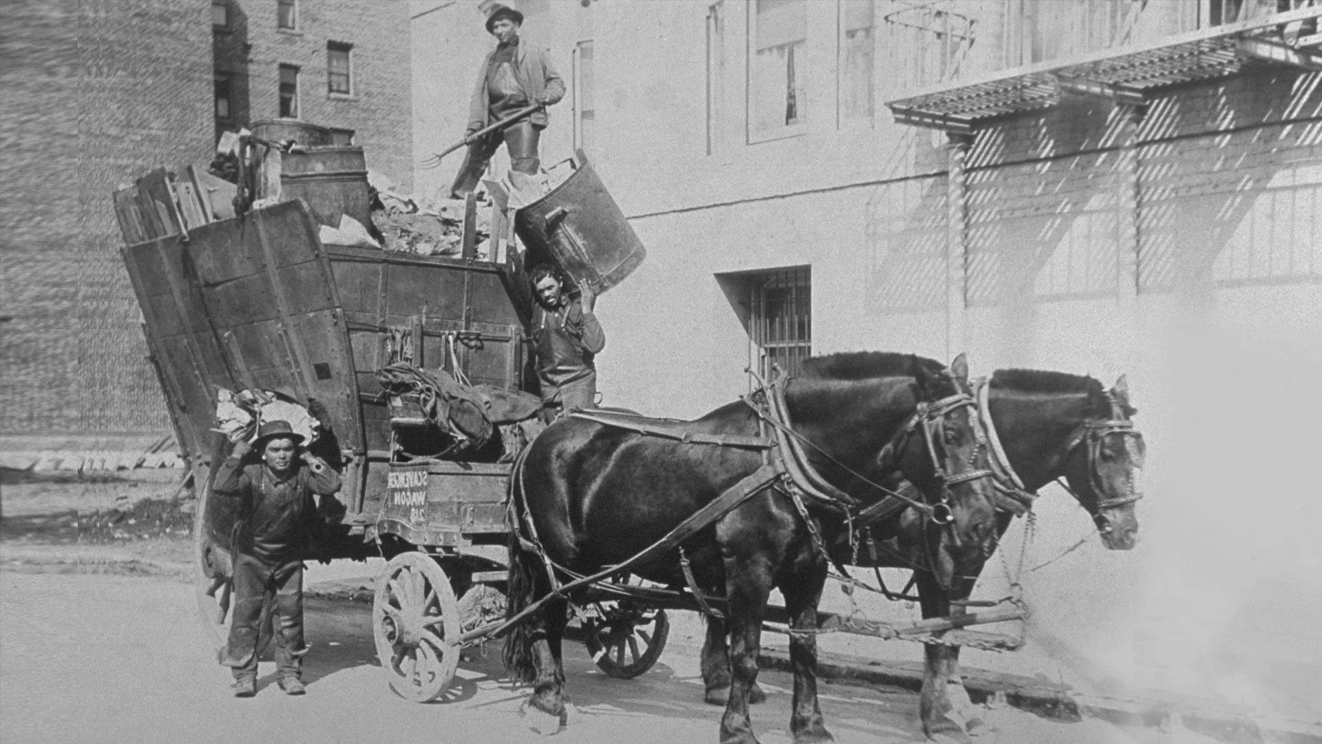 RECOLOGY | 100 Year Anniversary