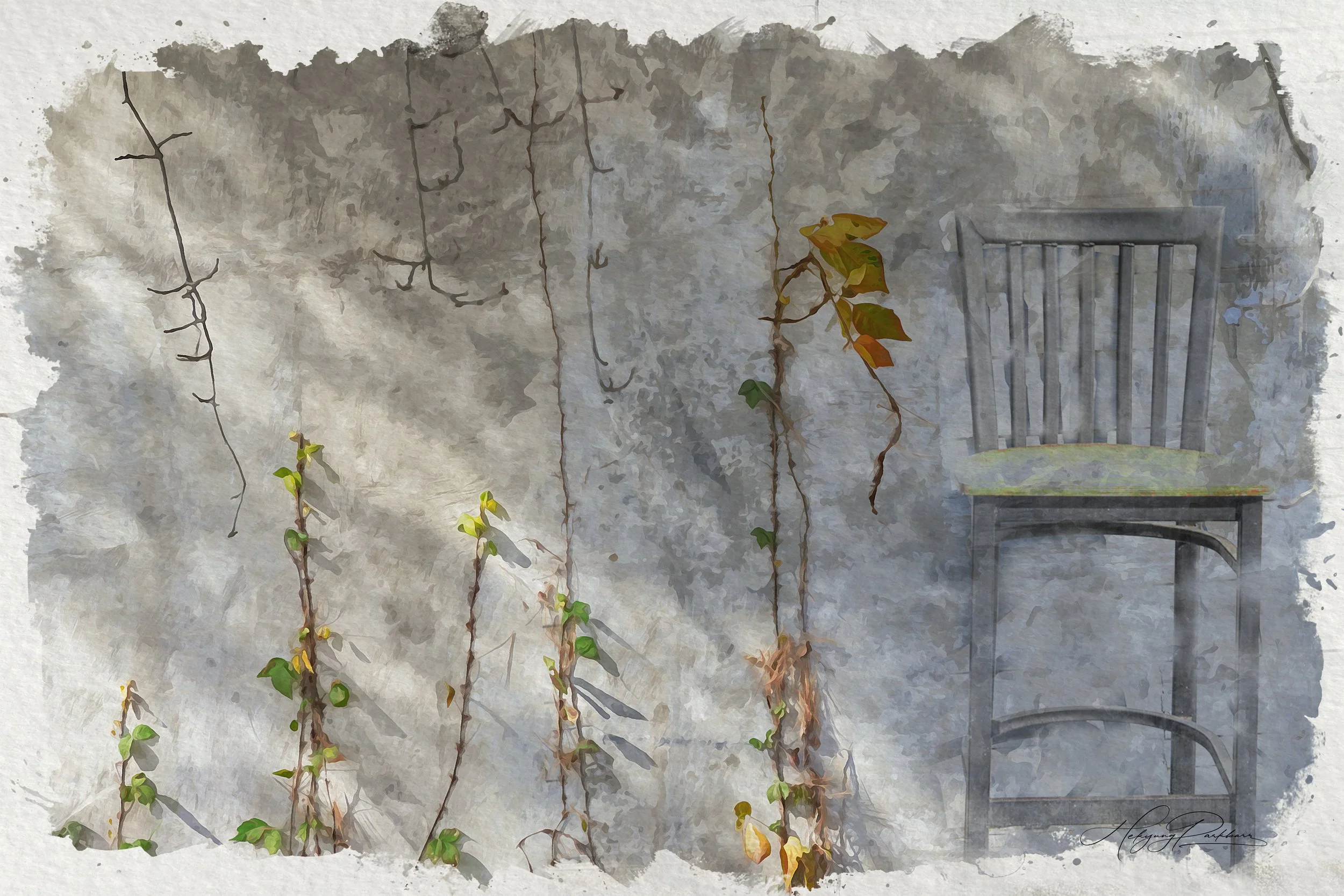 Vine On Grey Wall 2.jpg