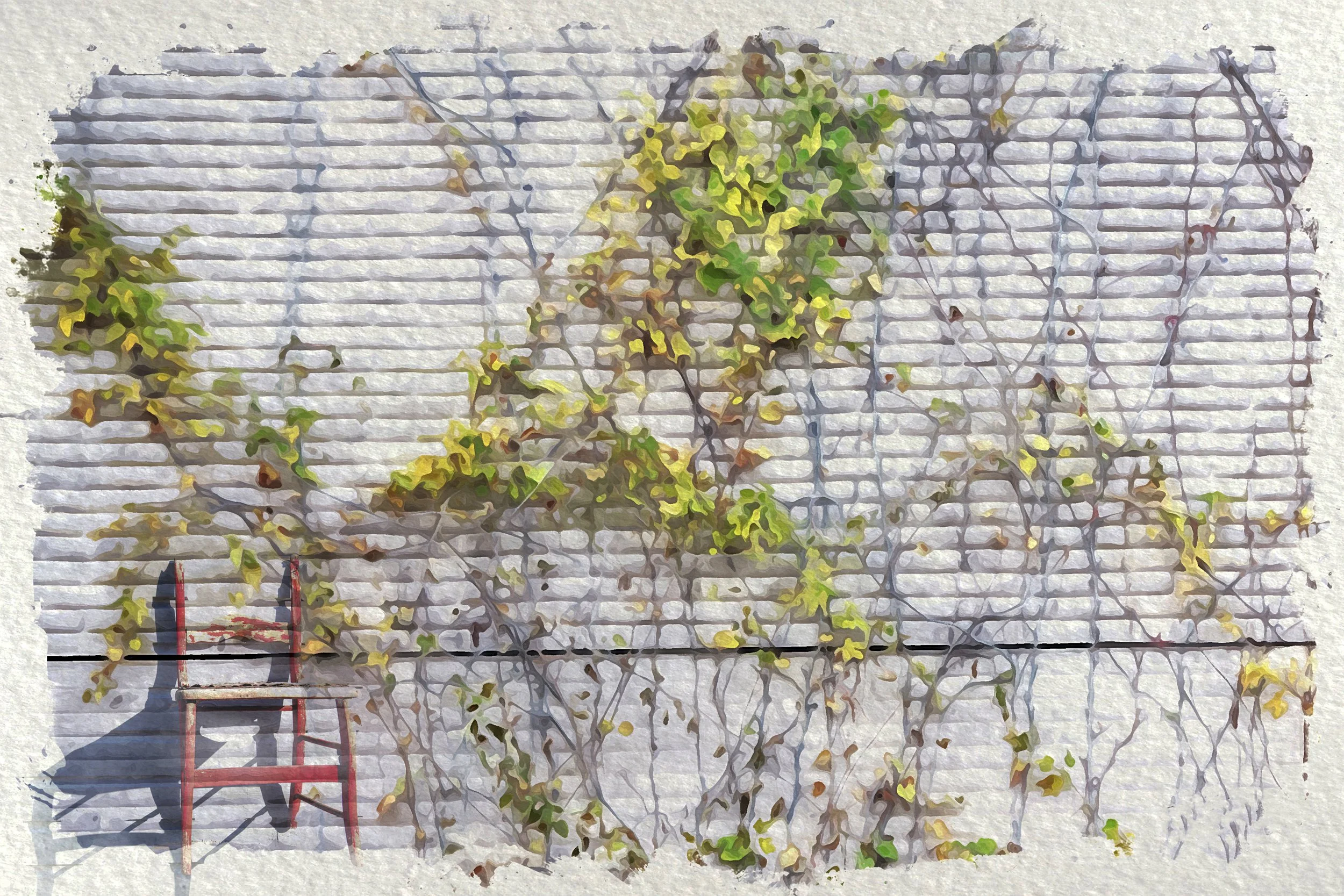 Symbiosis_Fading Autumn.jpg