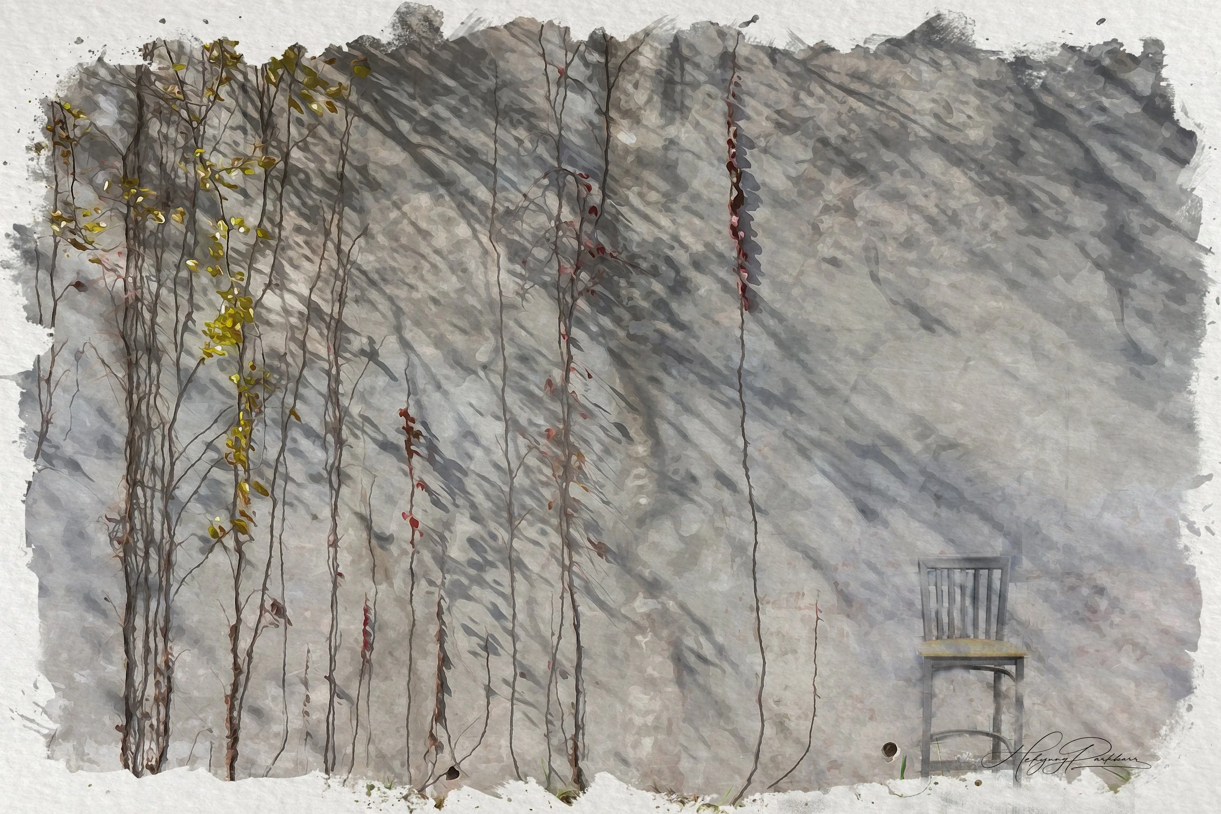 Vine On Grey Wall 4.jpg