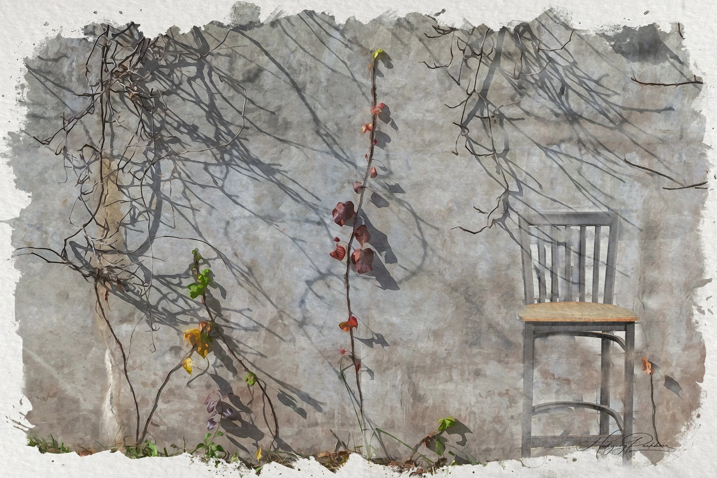 Vine On Grey Wall 3 2.jpg