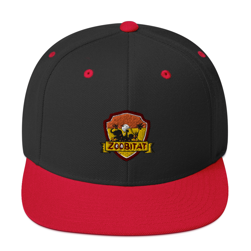 classic-snapback-black-red-front-6324f9ce88048.png