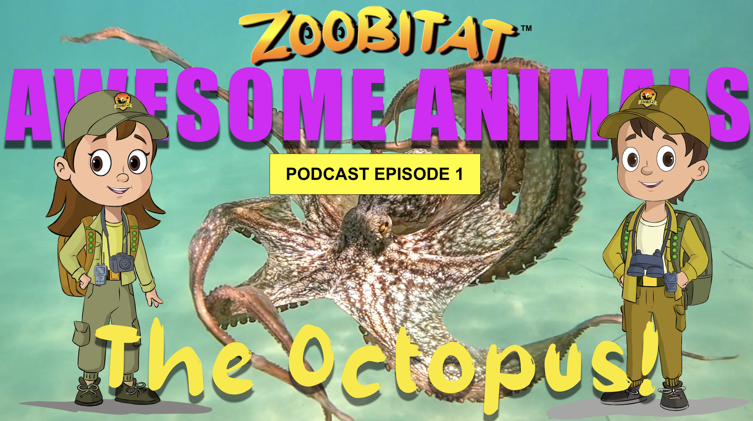 Download Zoobitat Podcast Episode 1 - The Octopus