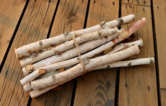 birch logs.jpg