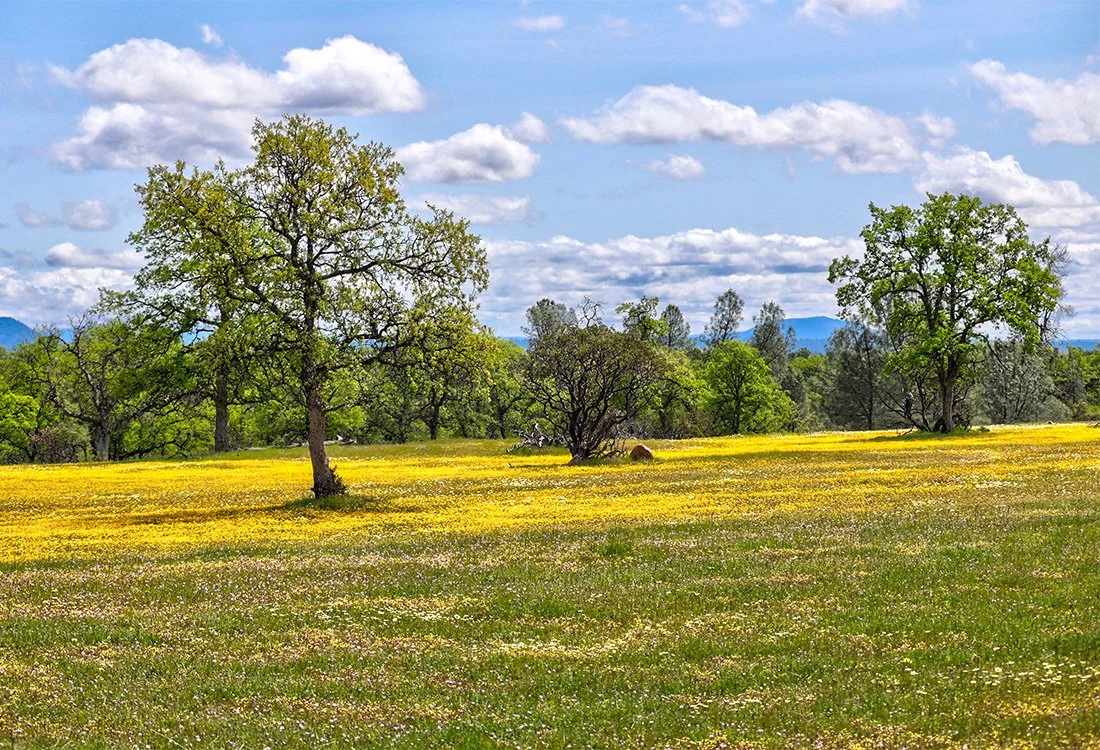 29-gallery-silverbridge-highlands.jpg