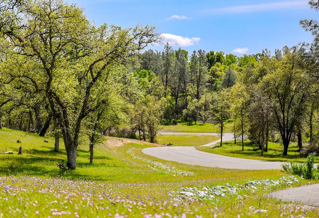 32-gallery-silverbridge-highlands.jpg