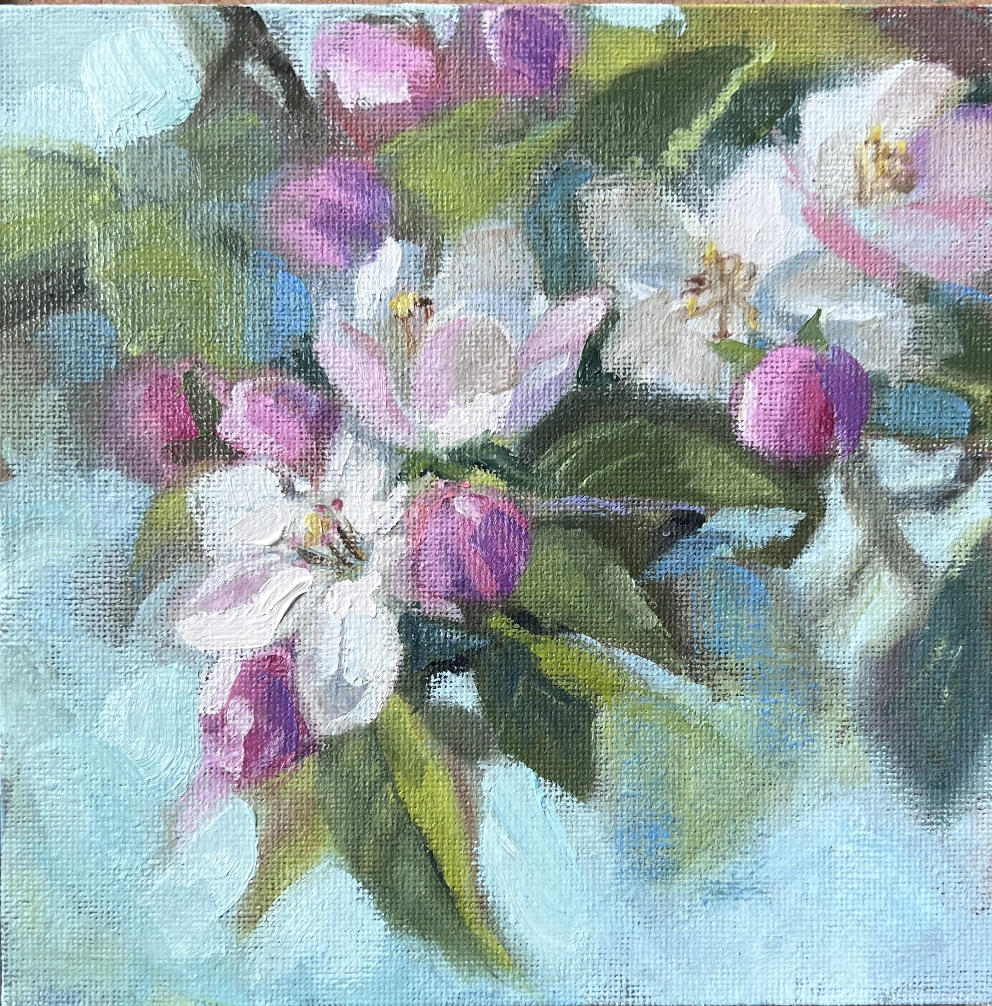 Apple Blossoms, oil on board, 6 x 6, framed, $150