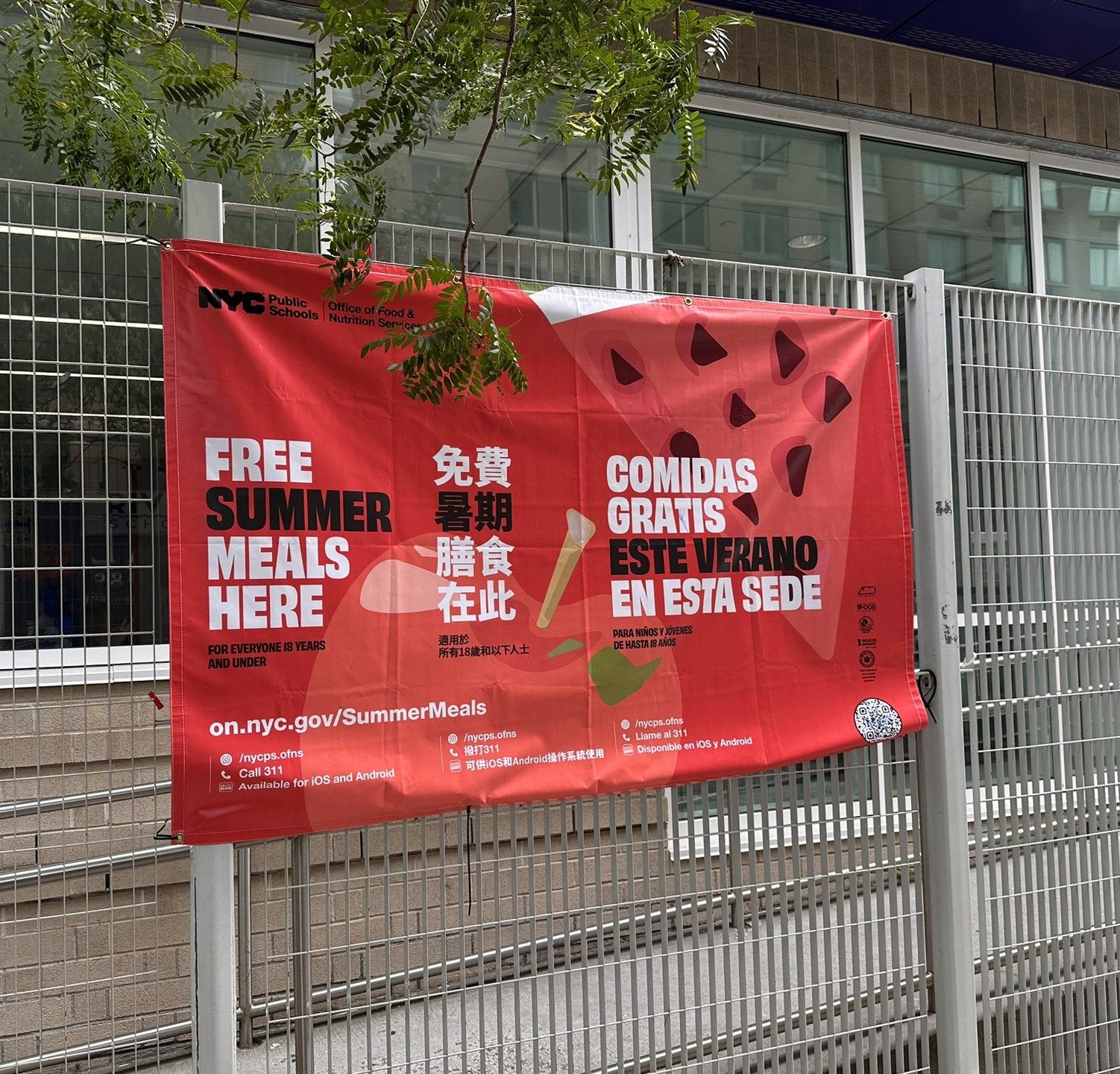 The city has opened P.S. 281 (The River School) across the street from the St. Vartan Park garden as the exclusive Murray Hill site for free summer meals for all children aged 18 and younger. 

No signup or ID is required for the service at 425 East 