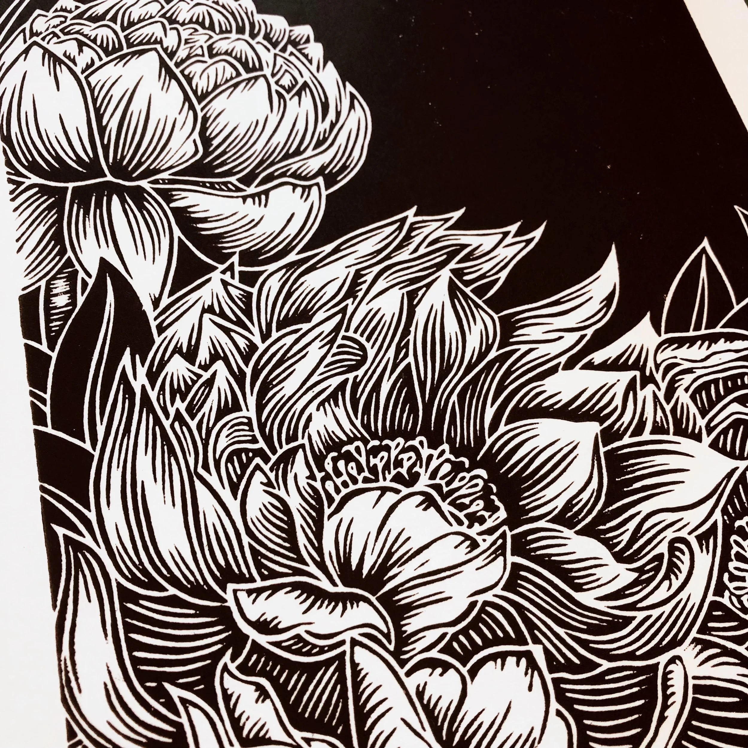 Peony: Revised (Special Edition) — DryHeat.Press