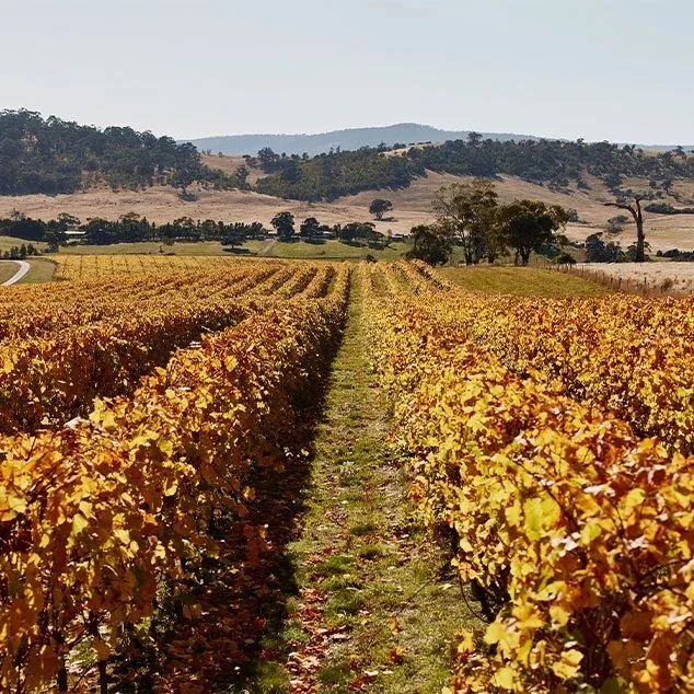 ATELIER + DALRYMPLE VINEYARDS Tasmania Meet The Maker