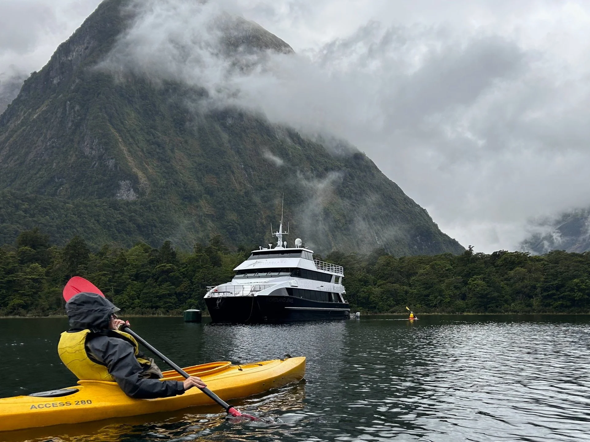 Person kayaking at Milford Sound.