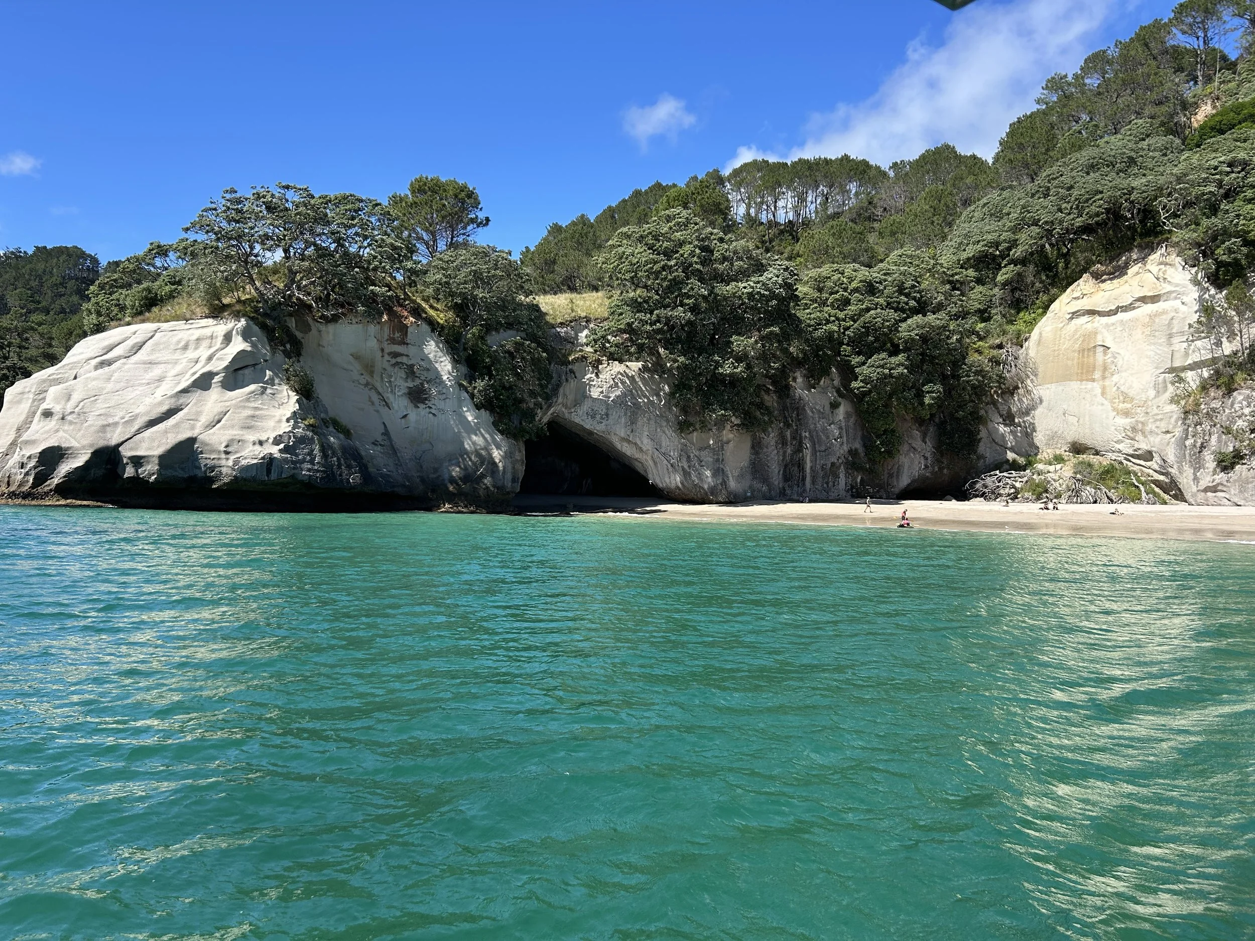 Discovering the Coromandel: A Must-Visit Destination for Overseas Tourists
