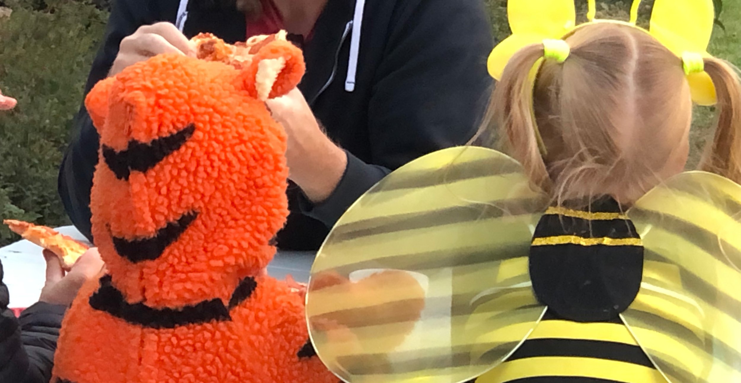orange and bee.jpg