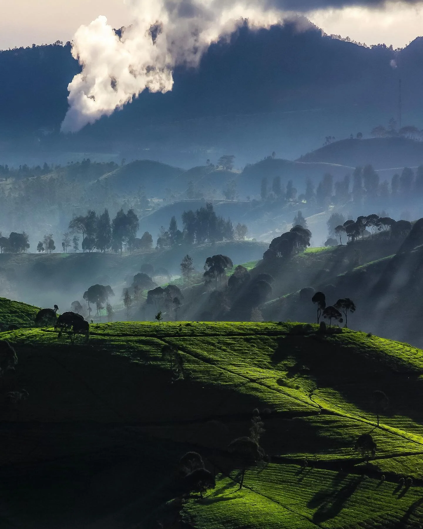 sometimes you just need to take a step back and realize how far you&rsquo;ve come instead of how far left you have to go. you are going to mess up, and you are going to make mistakes and you aren&rsquo;t always going to get it right. but, you are hum