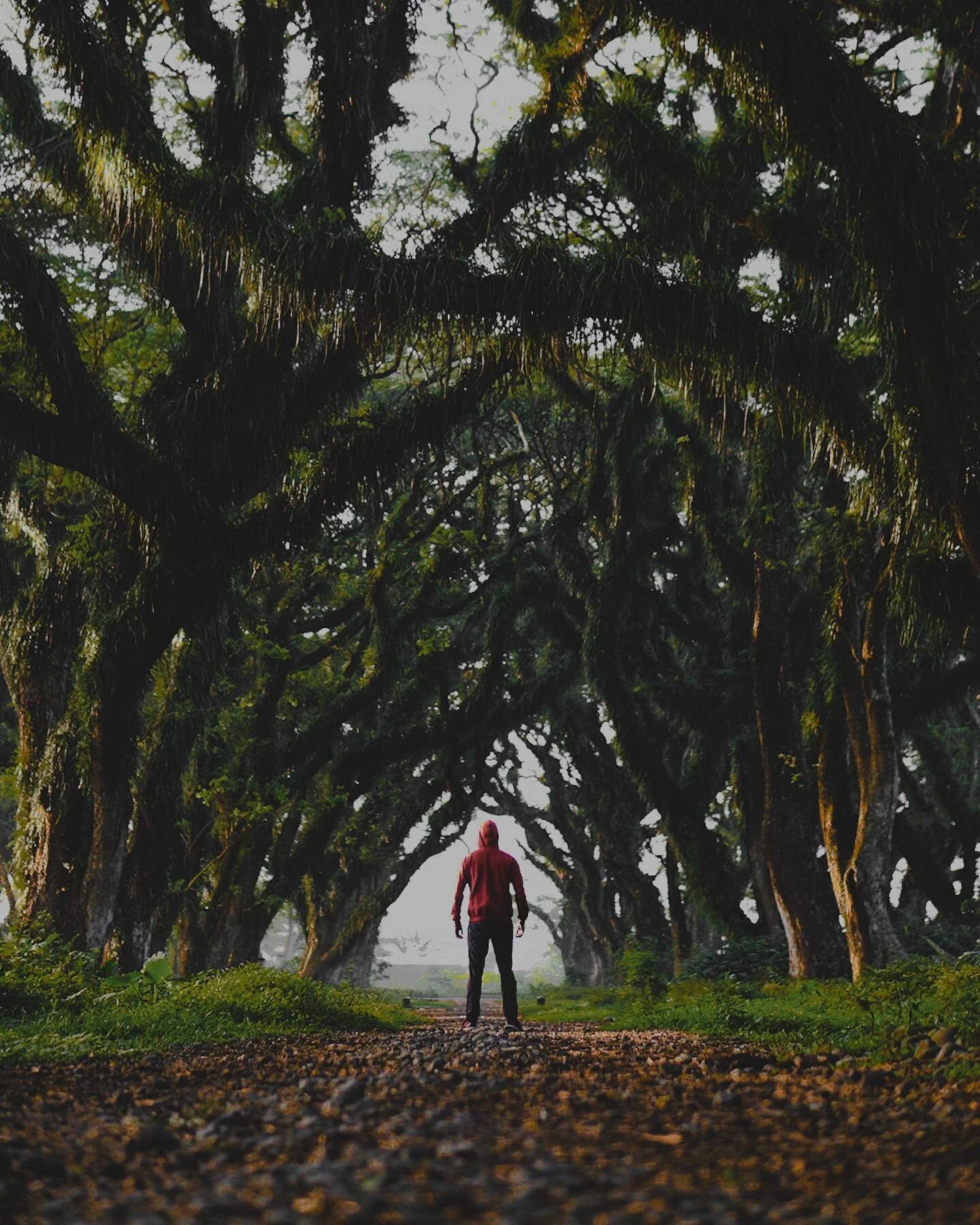 This is the strange way of the world, that people who simply want to love are instead forced to become warriors

#wonderfulindonesia
#beautifuldestinations #travel #traveling #voyaged #instagram #sunrise #livefolk #folkindonesia #lightroom #indonesia