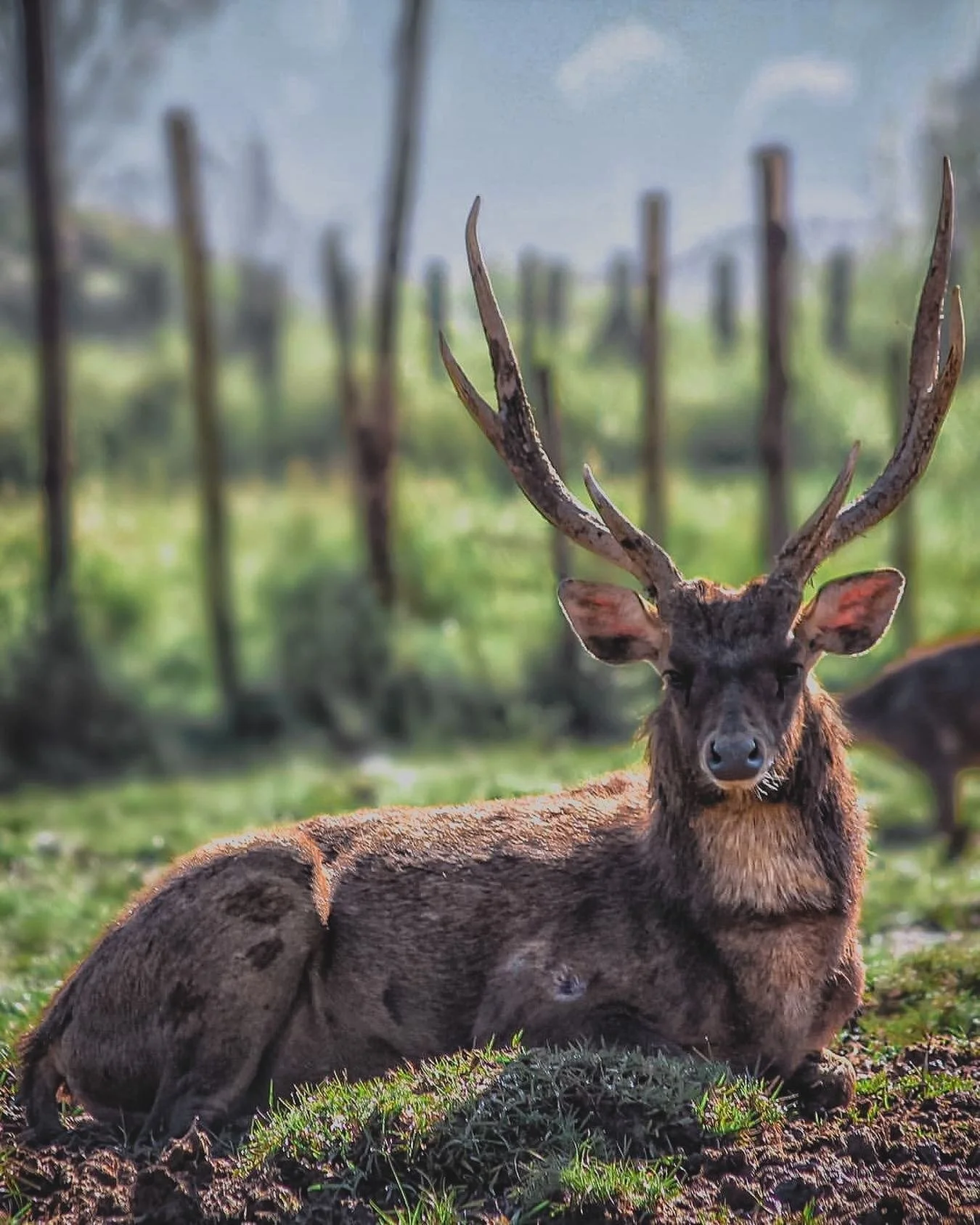 We&lsquo;re all guilty.
Everyday from the moment we wake up, we live our lives caring what other people think of us.
We accept the status quo for what it is because everyone around us does.
 We tip toe our way through life by doing things in order to