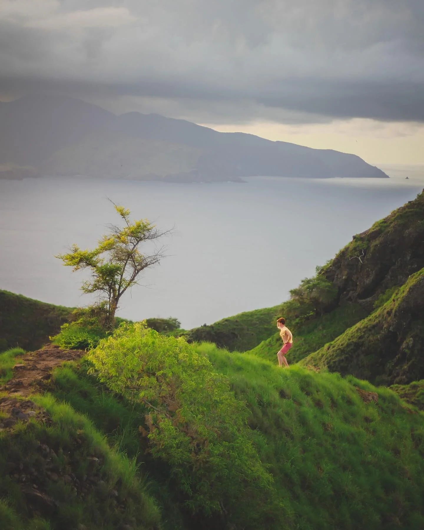 Capit&aacute;n, I see new adventures on the horizon

#wonderfulindonesia
#beautifuldestinations #travel #traveling #voyaged #instagram #sunrise #livefolk #folkindonesia #lightroom #indonesia #moodygrams #komodo