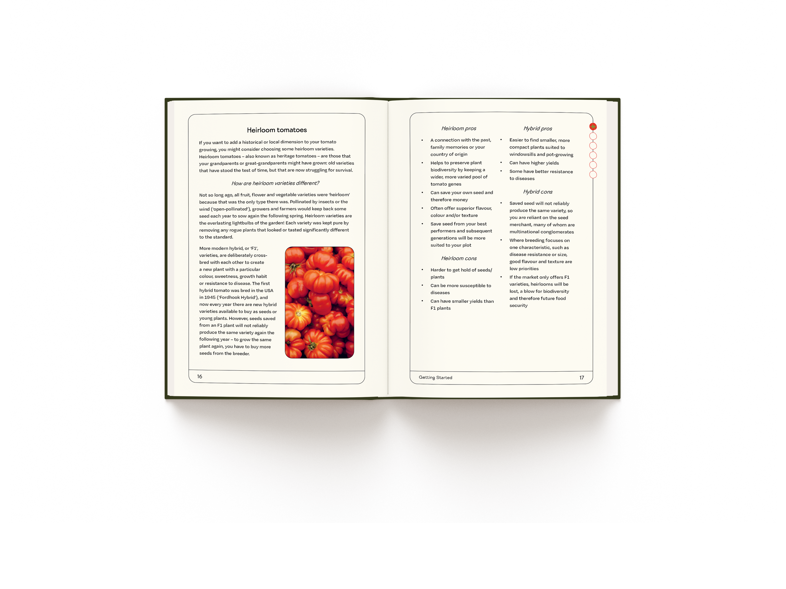 TheTomatoGrowersHandbook_INT5.png