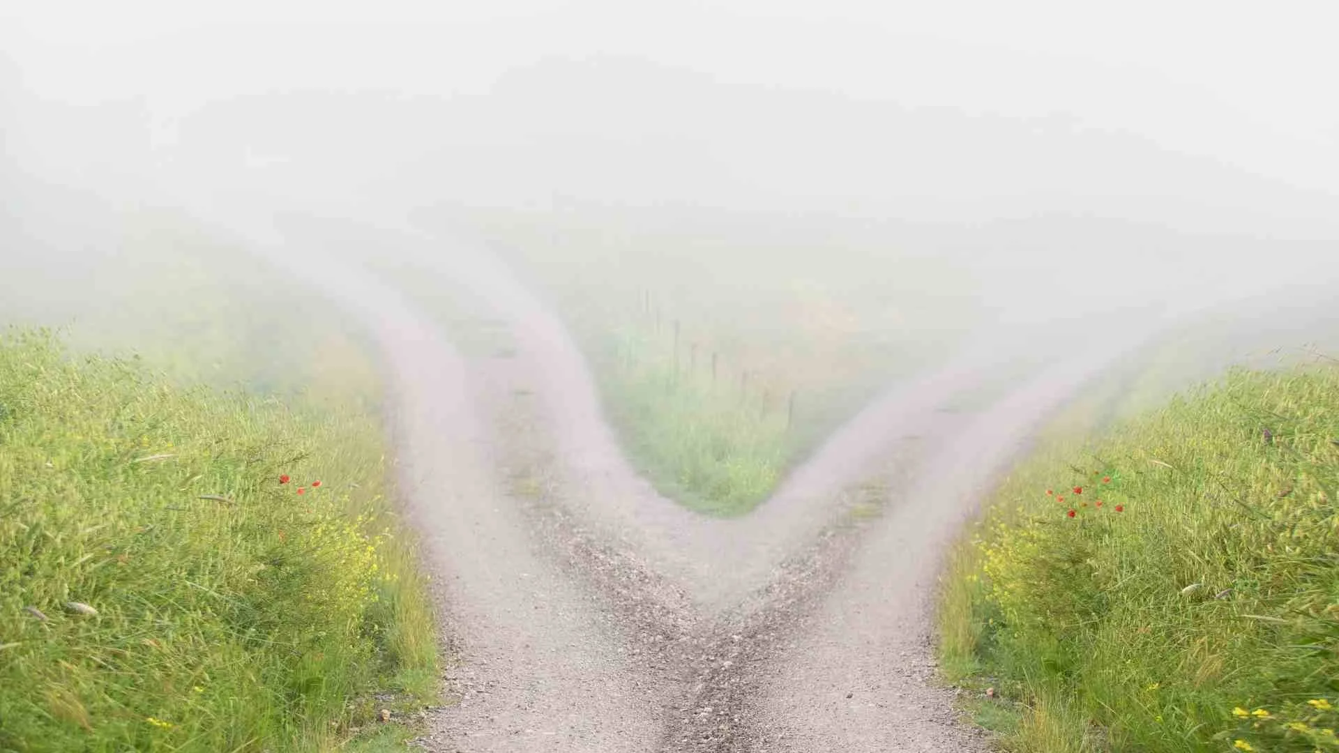 Dr. Lin聲樂教學筆記 01 ｜別找「對的聲音」，而是找「對的方向」