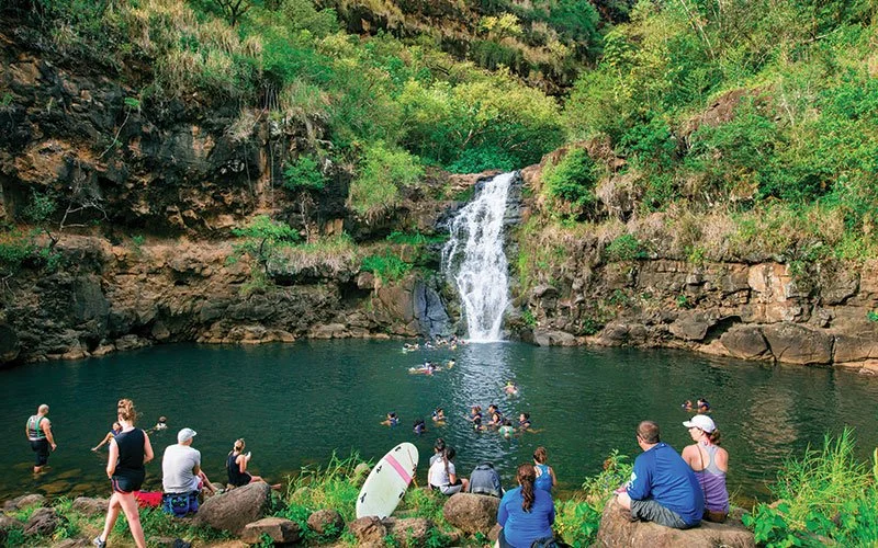 waimea-valley.jpg.jpg