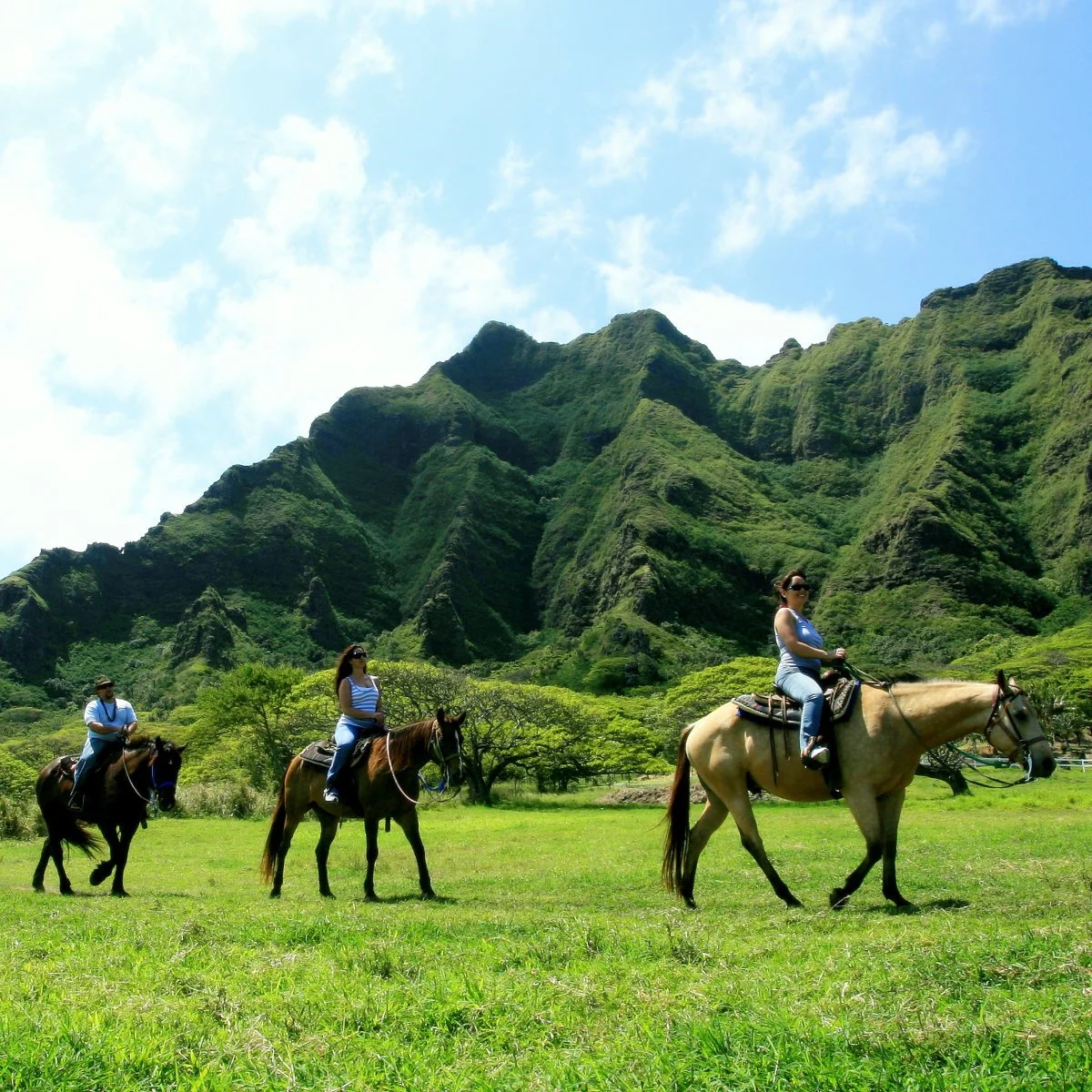 kualoa_horses2(1).jpg