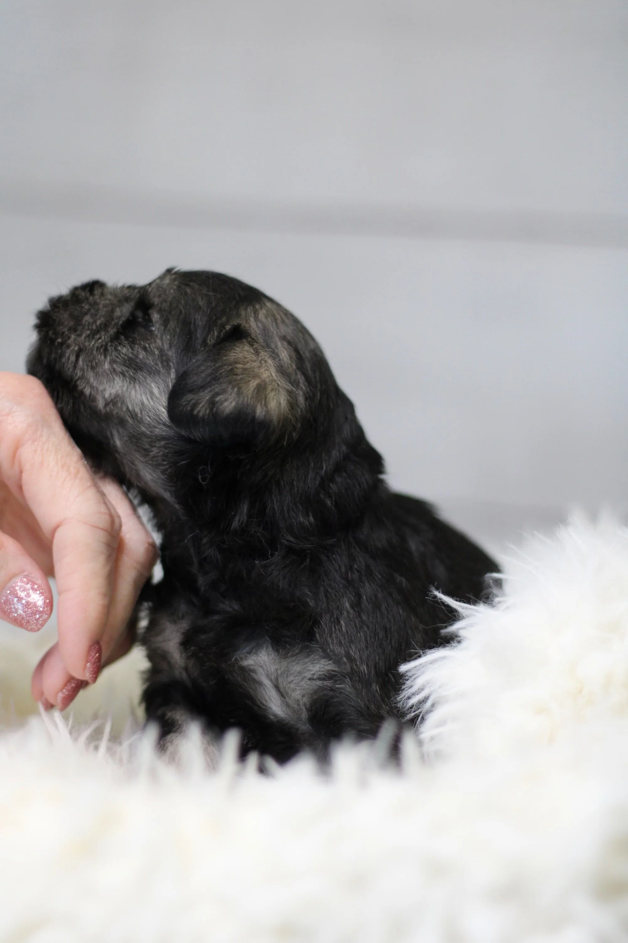 They are already the most lovable little ones ever!
