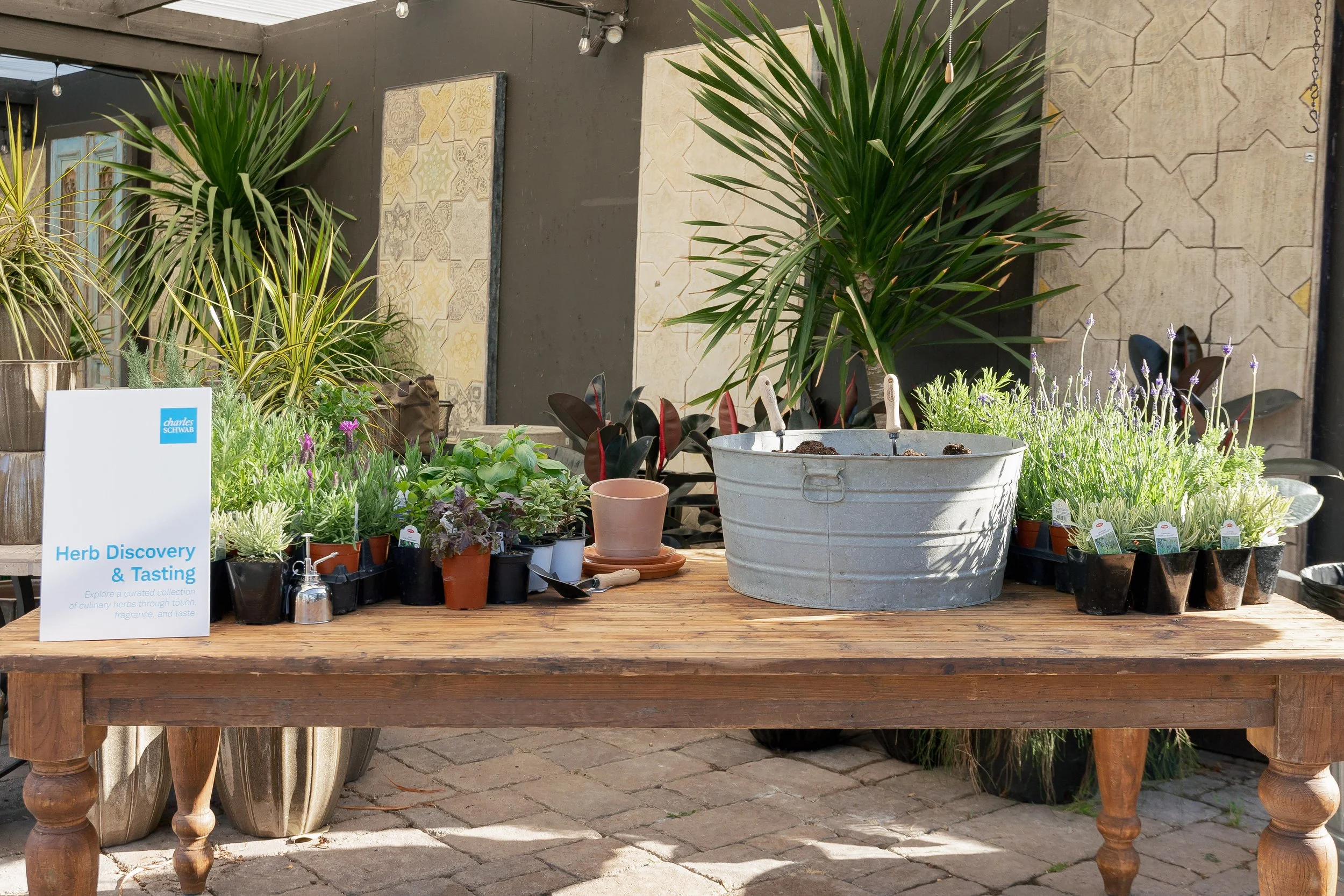 Display of various potted plants and herbs on a wooden table, with a sign that reads 'Herb Discovery & Tasting.' The setup is outdoors, with a dark wall and decorative tiles in the background, and some black chairs partially visible.
