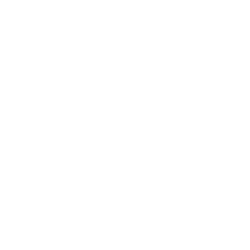 Larissa Raquel Photography