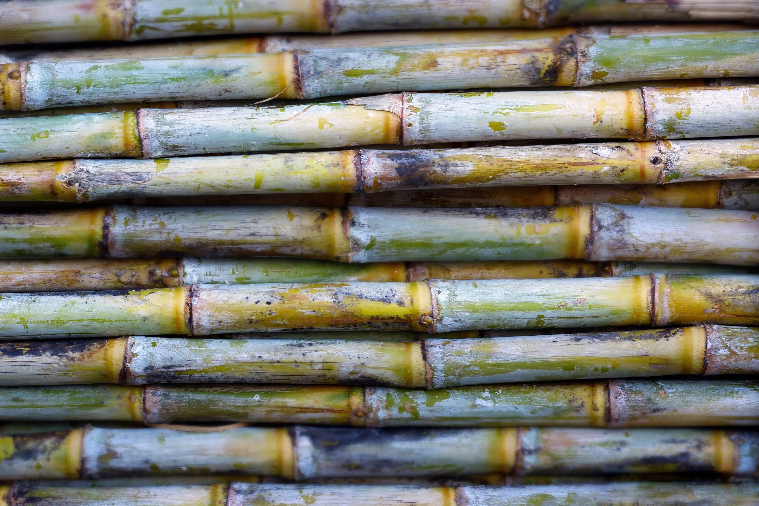  The Harwood site, unlike most sugar mills also includes a sugar refinery built in 1989 that converts the raw sugar produced by conventional mills into white sugars.  