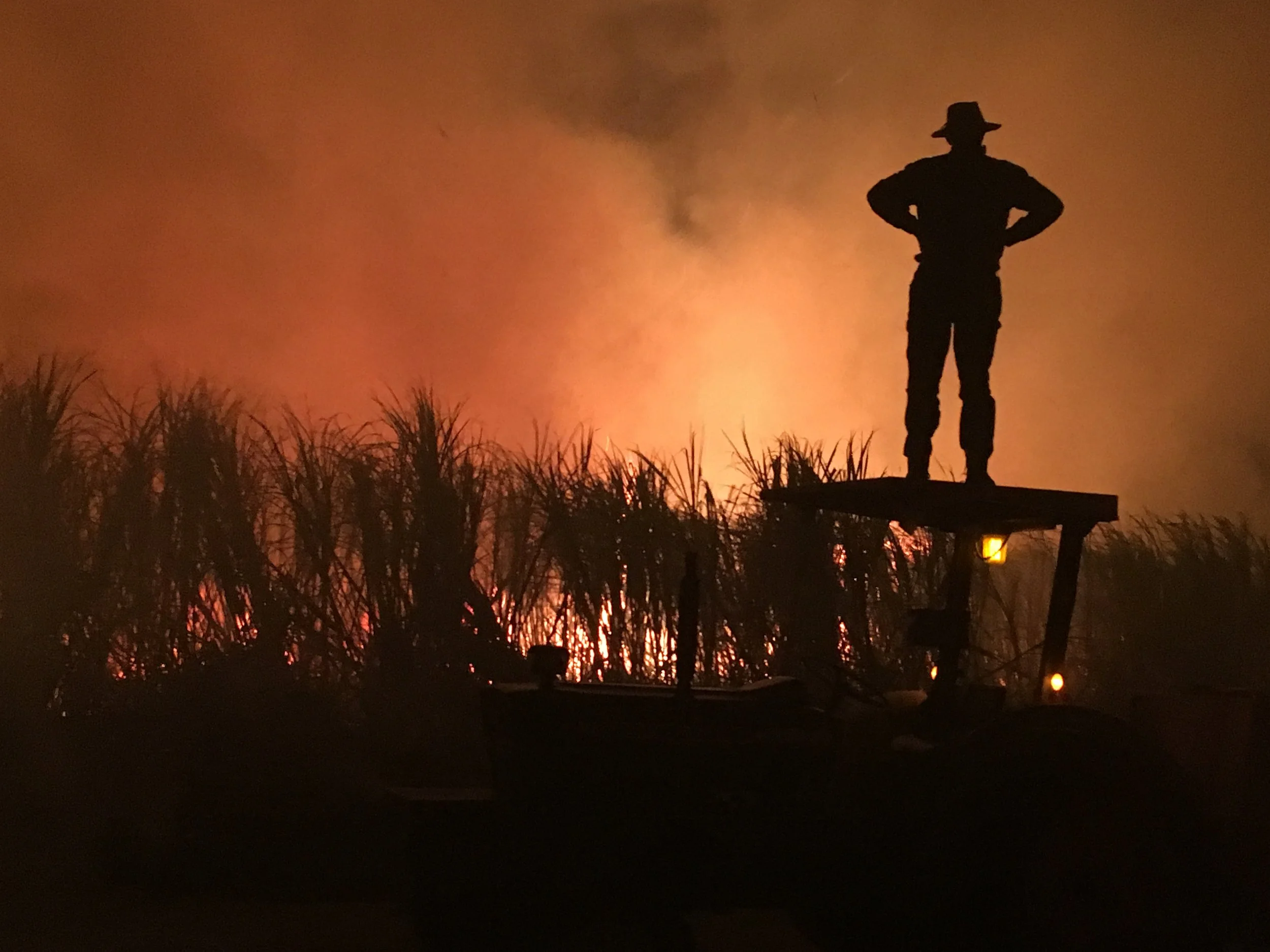 Cane Burn on Tractor.JPG