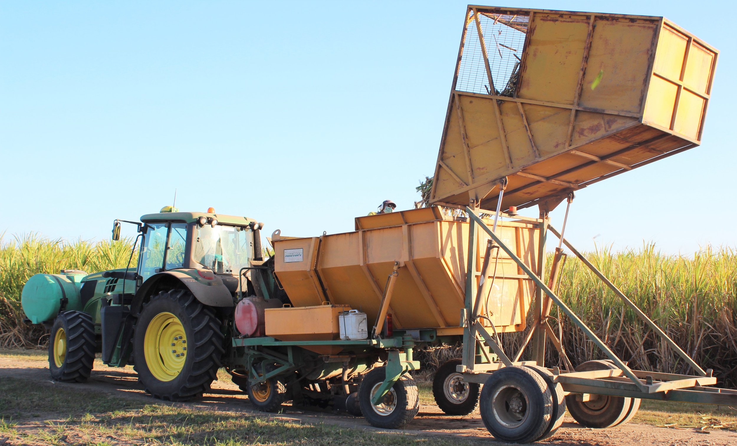 Tipping into planter.JPG