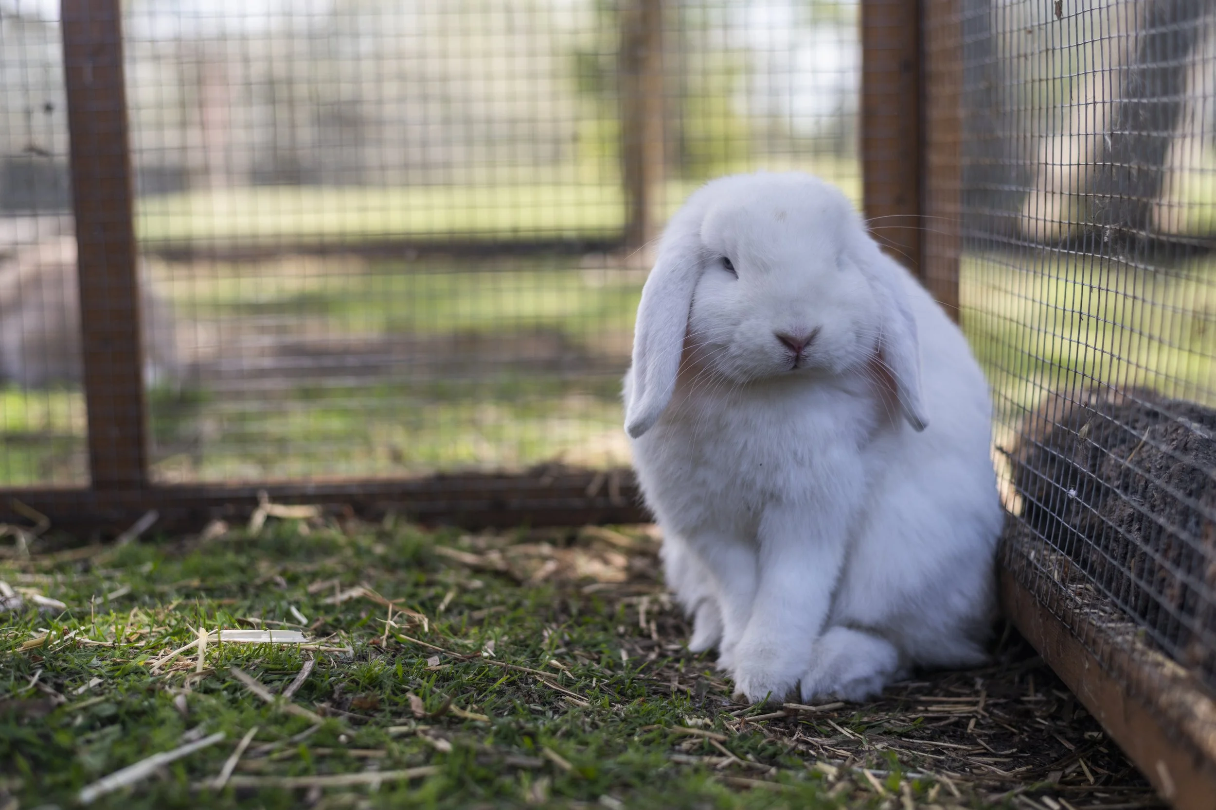 Farm Stay Tour: Riverside Ranch — OCEANSTAYS.COM.AU
