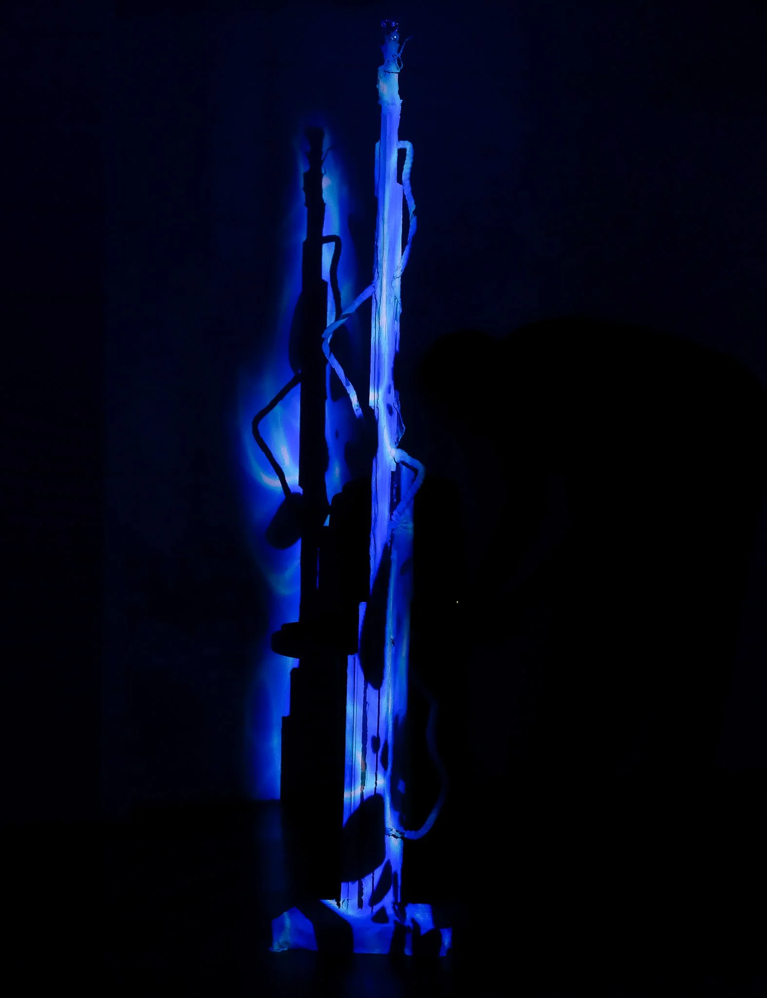 DSCF4422.jpg