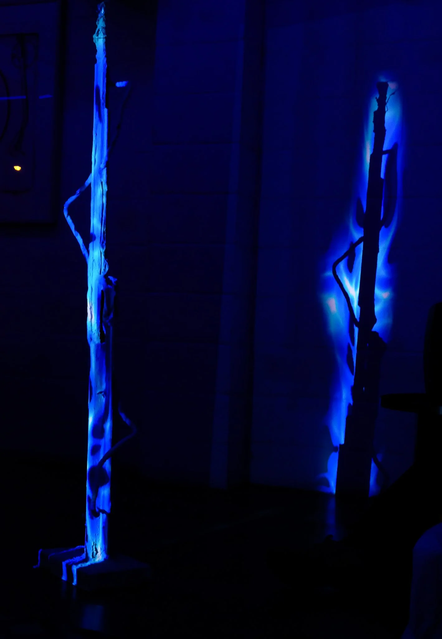 DSCF4467.jpg