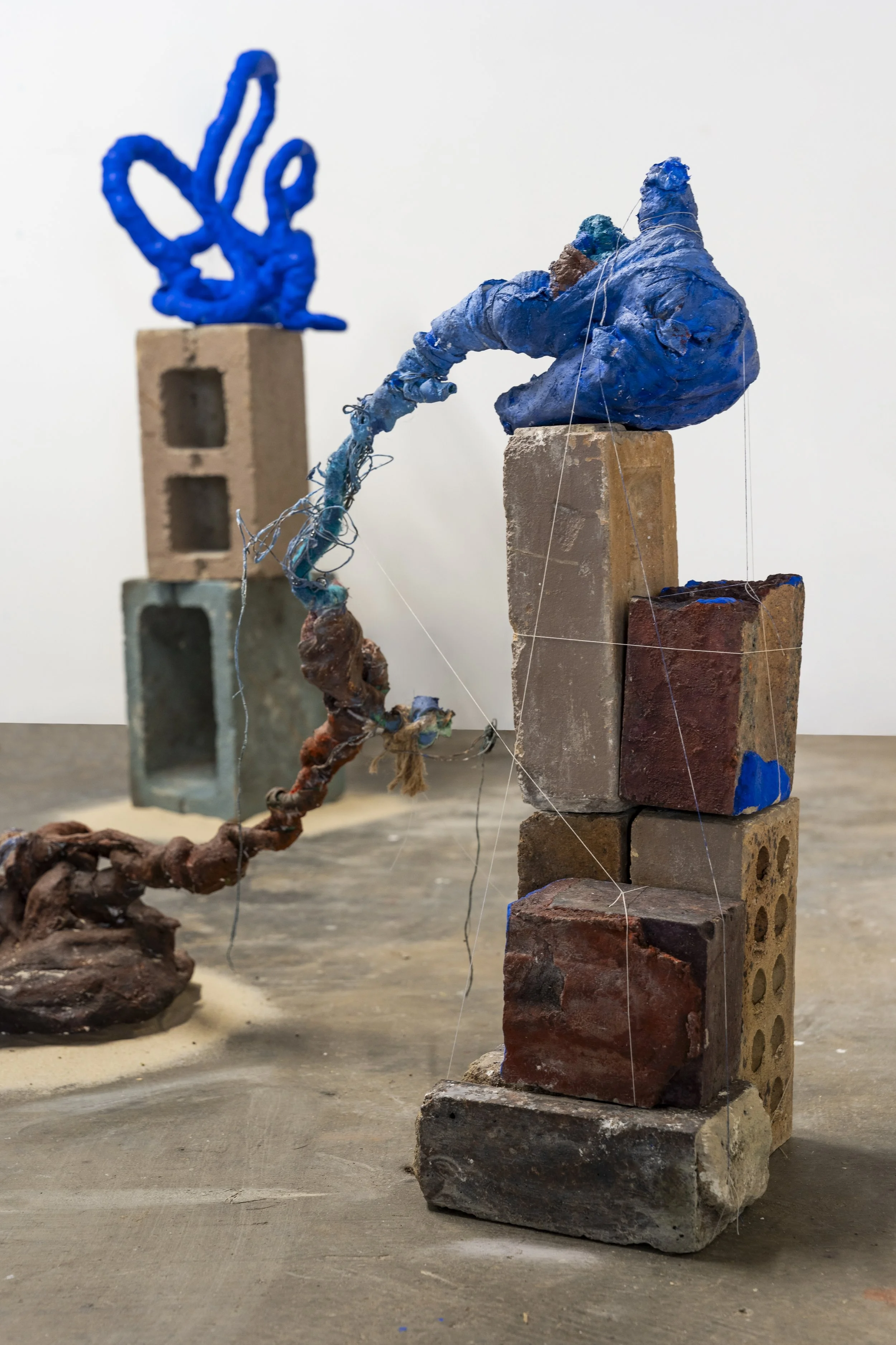 Amy Vowles 20260507 HR-9.jpg