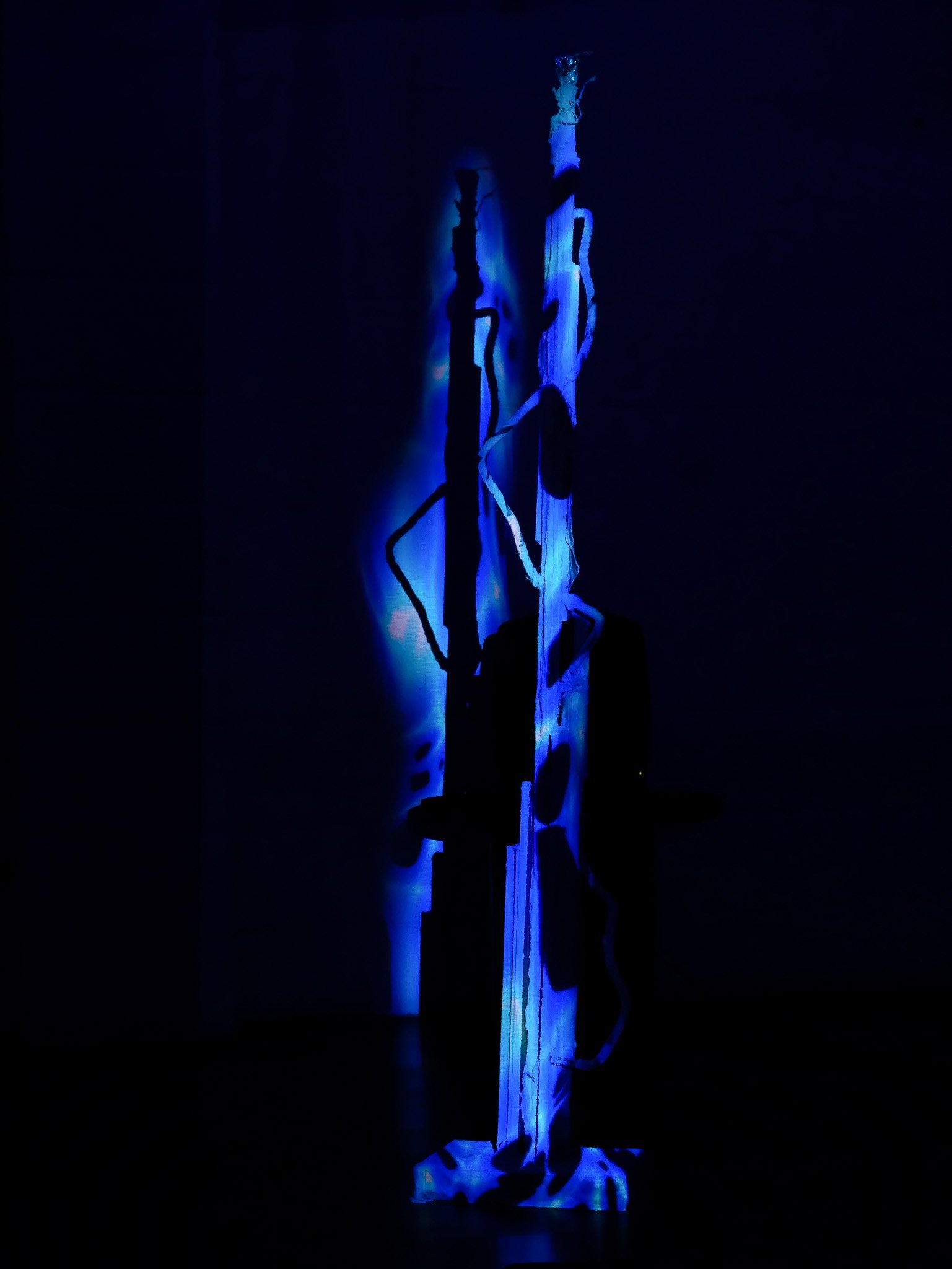 DSCF4421.jpg