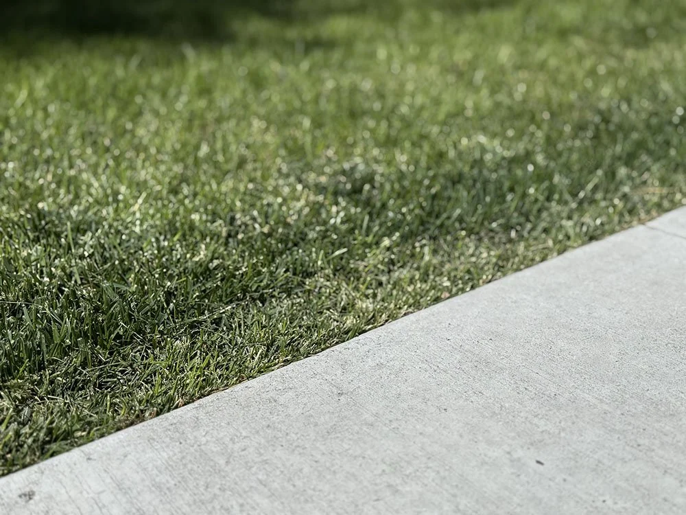 ego trimmer performance