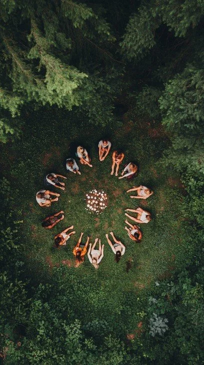 forest-gathering-circle-stockcake.jpg
