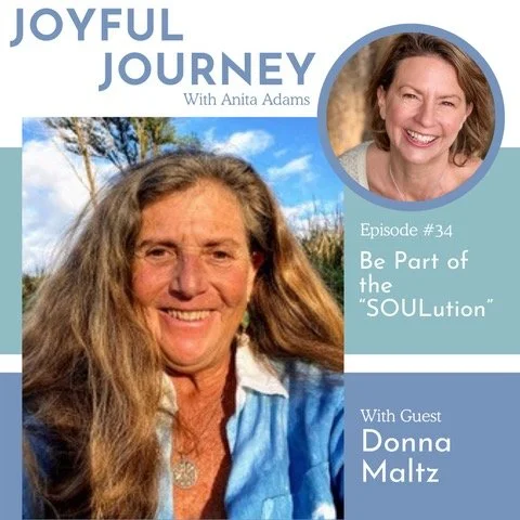 JJ034-coverart-Donna Maltz.jpeg