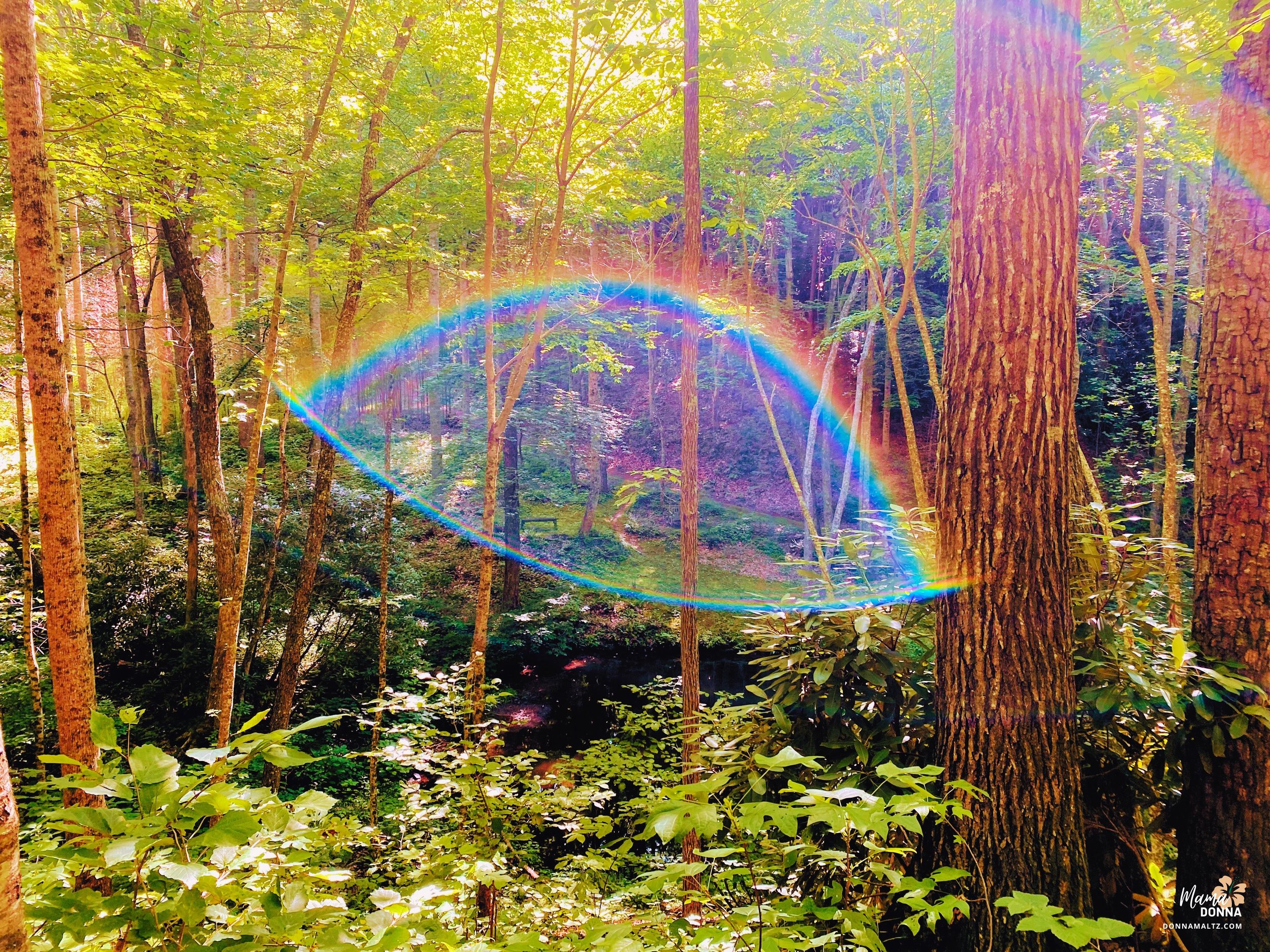 Rainbow Pond.jpg