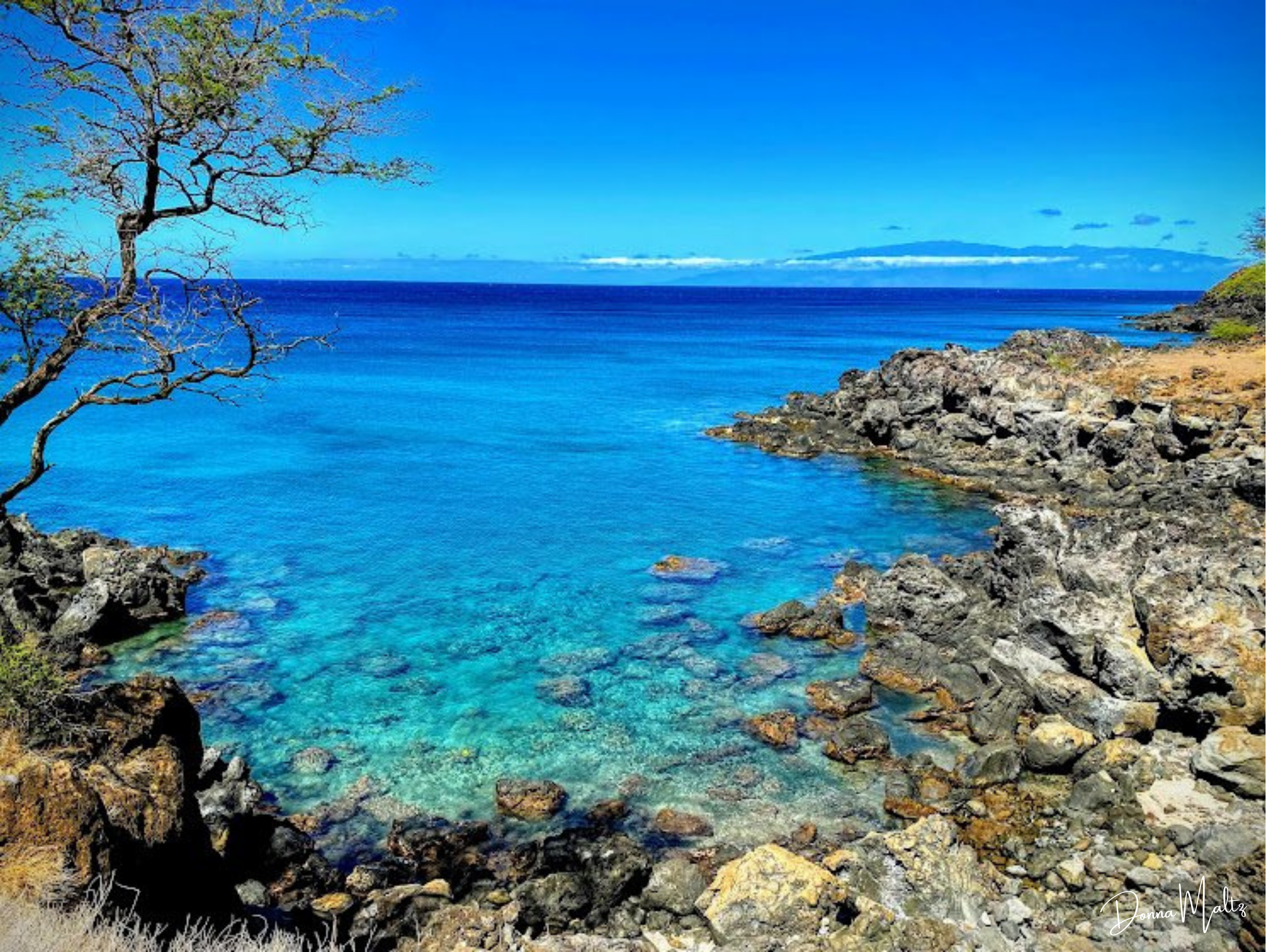 Turquoise Cove.png