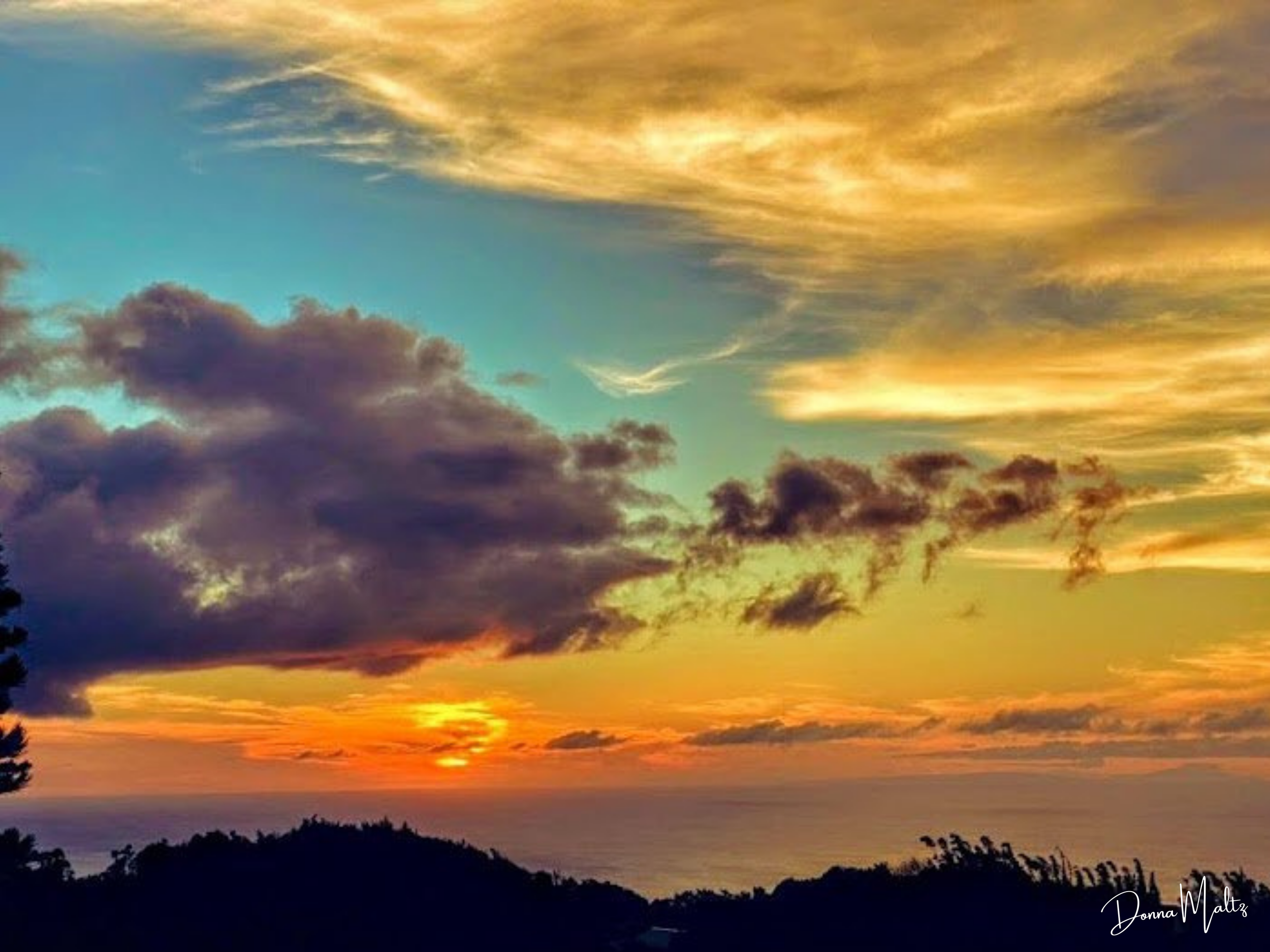 Succulent Sky.png