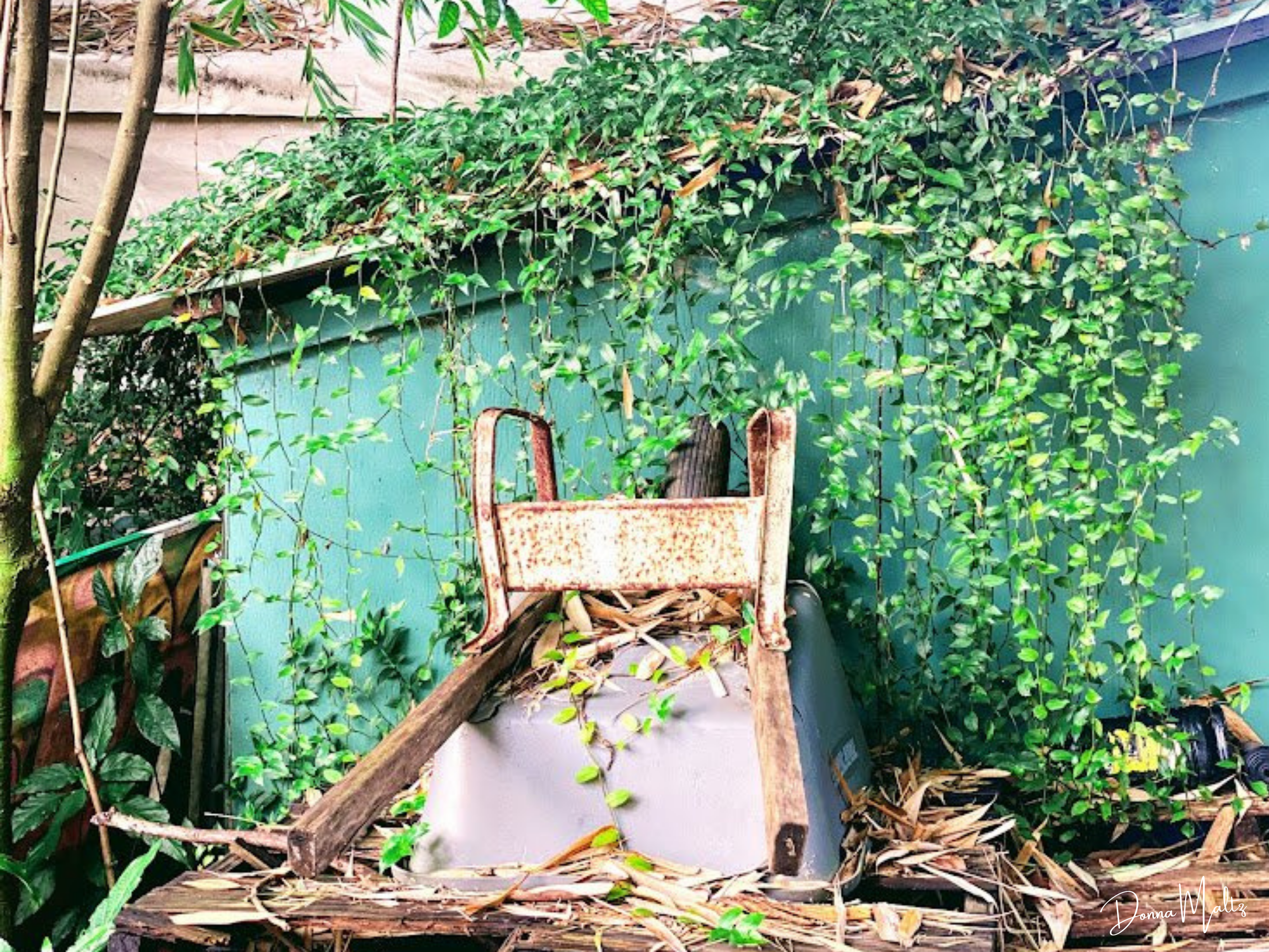 Wheelbarrow of Wonders.png
